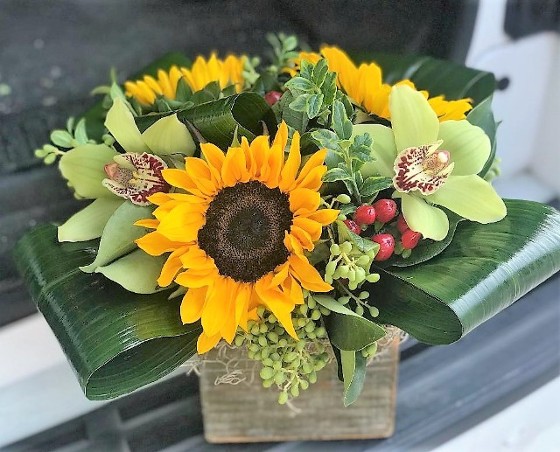 Sun Flowers in a wood box, bright and cheery flowers