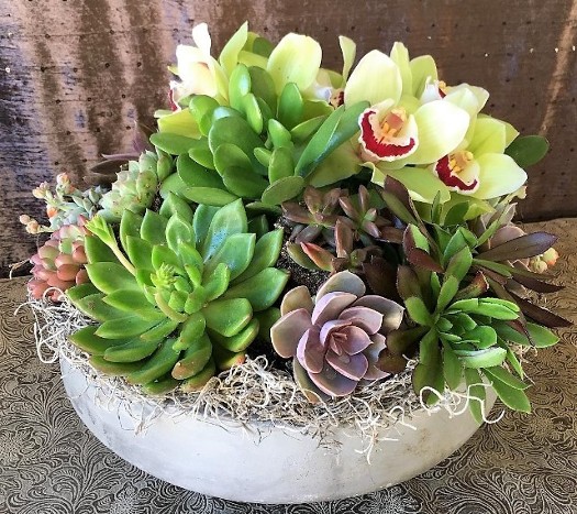 Succulent potted plants arranged with a few cut orchids for a splash of color.